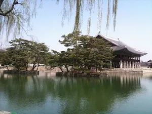 1. fénykép a(z) „Korea-őrültek” bejegyzésből