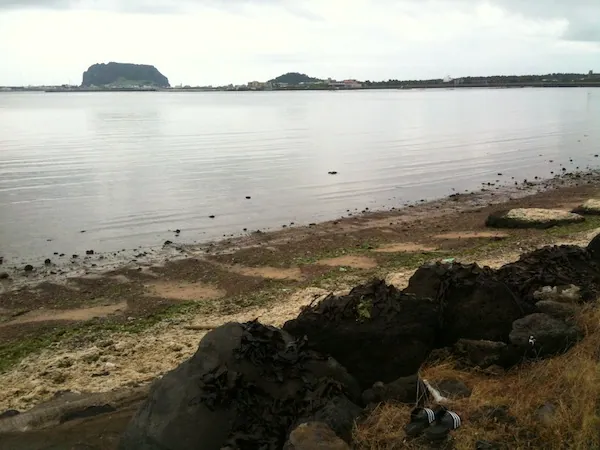 4. fénykép a(z) „Önkénteskedés Jeju-n, Seogwipo” bejegyzésből
