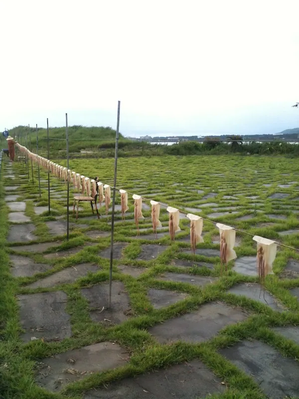 12. fénykép a(z) „Önkénteskedés Jeju-n, Seogwipo” bejegyzésből