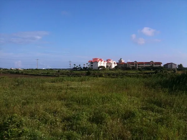 18. fénykép a(z) „Önkénteskedés Jeju-n, Seogwipo 2. rész” bejegyzésből