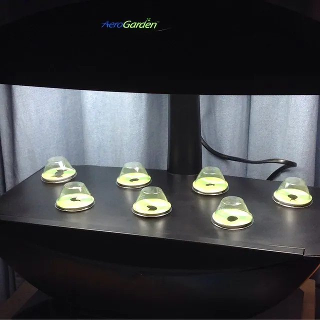 AeroGarden 7 az én szobai kertem.